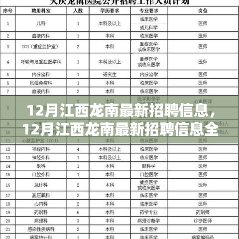 12月江西龙南最新招聘信息全面解析与介绍