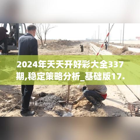 2024年天天开好彩大全337期,稳定策略分析_基础版17.175-2