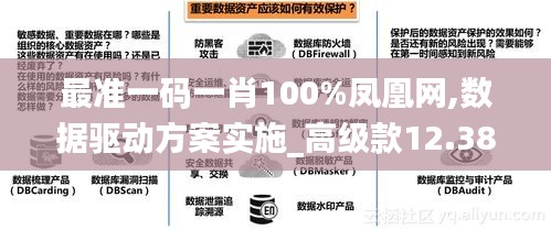 最准一码一肖100%凤凰网,数据驱动方案实施_高级款12.388-3