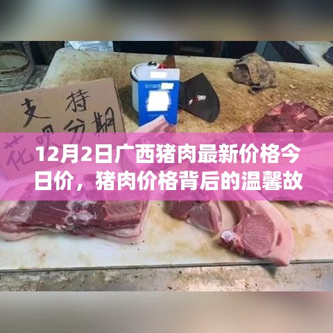 广西猪肉今日价背后的温馨故事，家的温暖与猪肉价格的关联