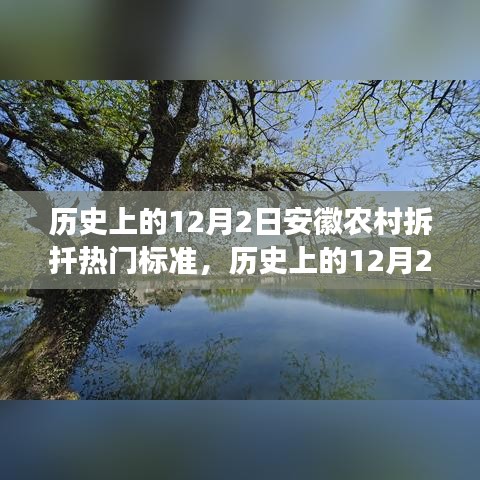 安徽农村拆扦之旅，探寻自然宝藏，体验宁静心灵的12月2日之旅