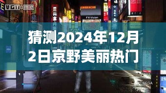 探秘京野美丽，预测京野美丽热门作品之旅，揭秘小巷深处的明珠（2024年12月2日）