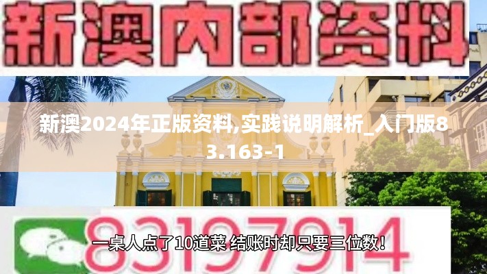 新澳2024年正版资料,实践说明解析_入门版83.163-1