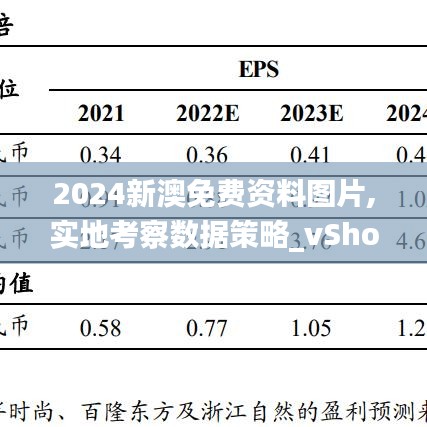 2024新澳免费资料图片,实地考察数据策略_vShop23.178-1