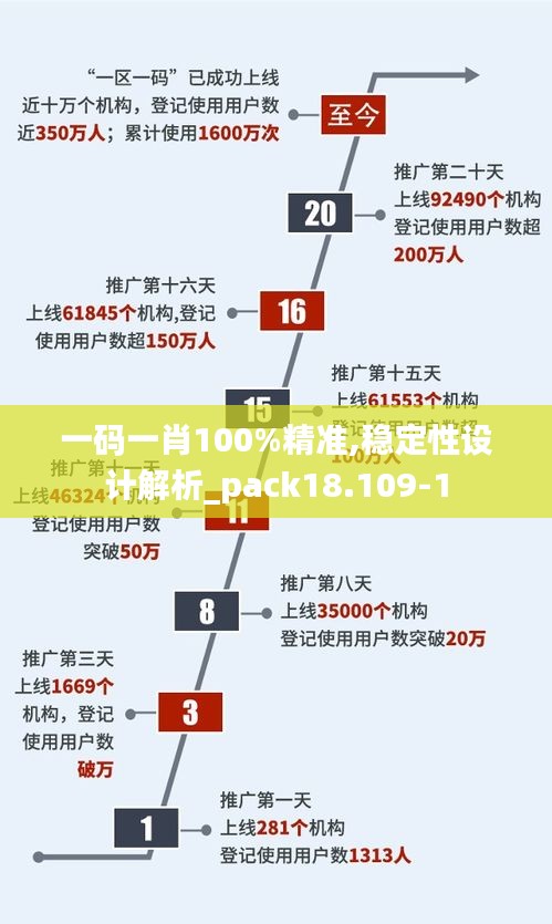 一码一肖100%精准,稳定性设计解析_pack18.109-1