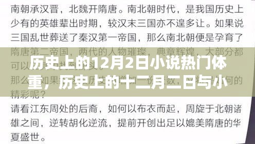 历史上的十二月二日与小说中的理想体重，多维度探讨的奥秘揭秘