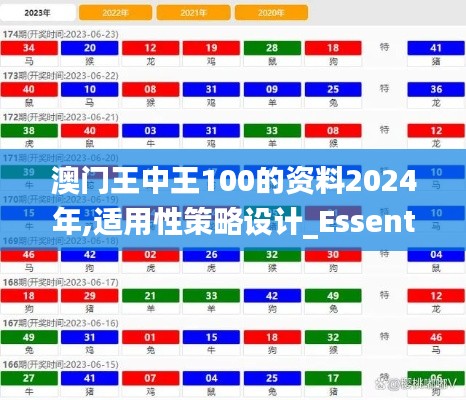 澳门王中王100的资料2024年,适用性策略设计_Essential17.599-2