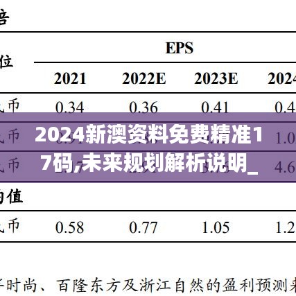 2024新澳资料免费精准17码,未来规划解析说明_超值版98.602-8