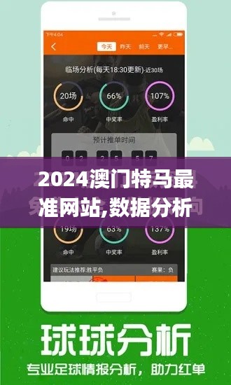 2024澳门特马最准网站,数据分析引导决策_超级版92.991-1