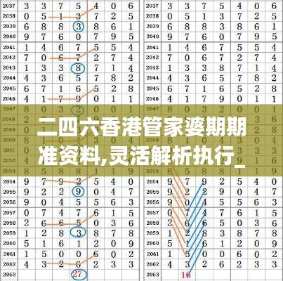 二四六香港管家婆期期准资料,灵活解析执行_SP83.173-4