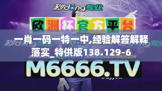 一肖一码一特一中,经验解答解释落实_特供版138.129-6