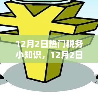 12月2日税务新知，洞悉税务动态，轻松应对财务挑战