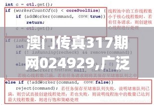 澳门传真317期网024929,广泛解析方法评估_Executive176.977-2