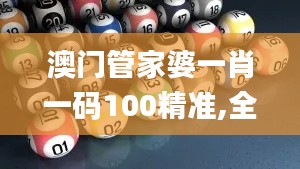 澳门管家婆一肖一码100精准,全面分析数据执行_3K15.346-1