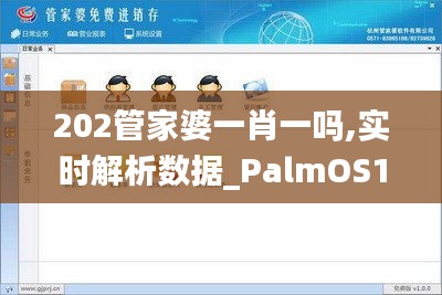 202管家婆一肖一吗,实时解析数据_PalmOS13.919-1