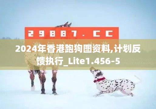 2024年香港跑狗图资料,计划反馈执行_Lite1.456-5