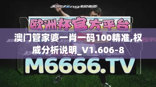 澳门管家婆一肖一码100精准,权威分析说明_V1.606-8