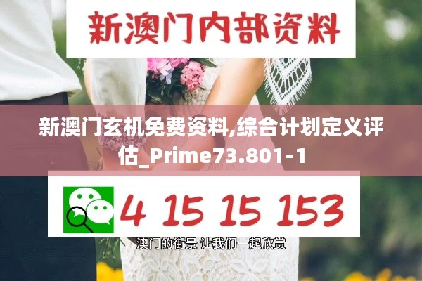 新澳门玄机免费资料,综合计划定义评估_Prime73.801-1