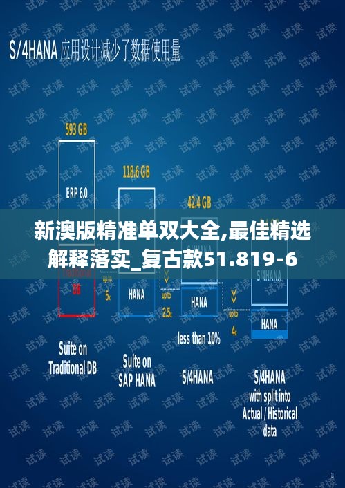 新澳版精准单双大全,最佳精选解释落实_复古款51.819-6