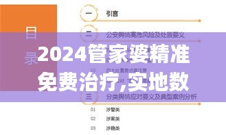 2024管家婆精准免费治疗,实地数据评估策略_eShop168.382-9