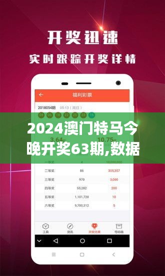 2024澳门特马今晚开奖63期,数据驱动方案实施_免费版10.496-5