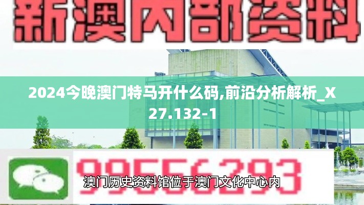 2024今晚澳门特马开什么码,前沿分析解析_X27.132-1