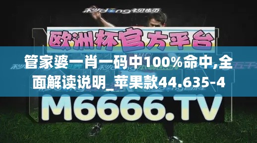 管家婆一肖一码中100%命中,全面解读说明_苹果款44.635-4