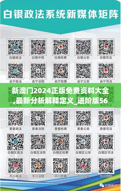 新澳门2024正版免费资料大全,最新分析解释定义_进阶版56.863-1