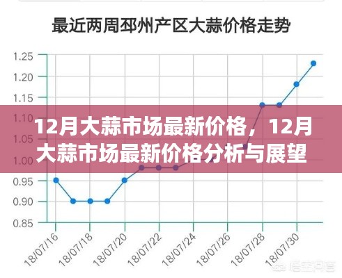 12月大蒜市场最新价格分析与展望，洞悉市场动态