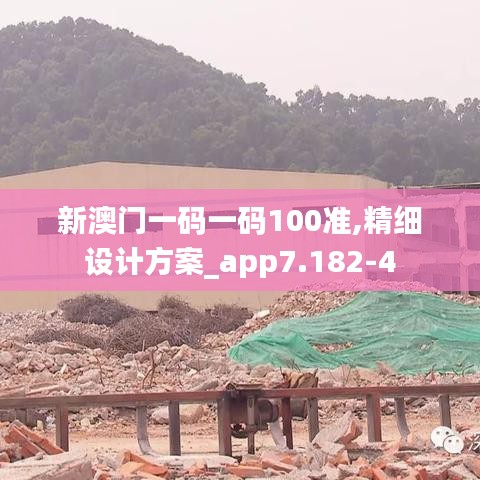 新澳门一码一码100准,精细设计方案_app7.182-4