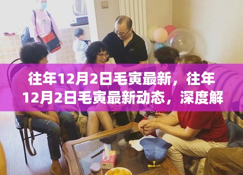 独家揭秘，毛寅最新动态深度解读与我的观点分析