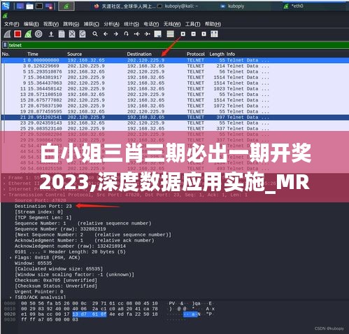 白小姐三肖三期必出一期开奖2023,深度数据应用实施_MR46.589-8