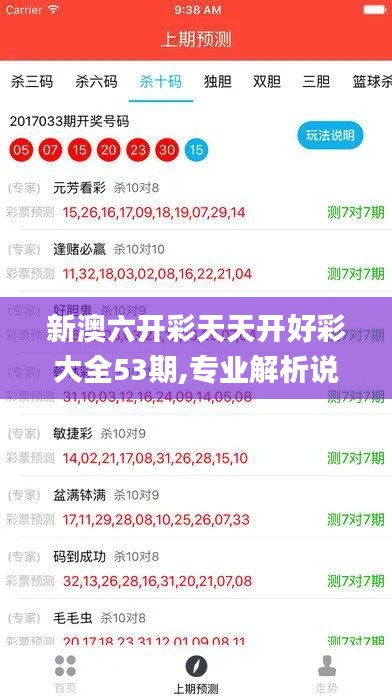 新澳六开彩天天开好彩大全53期,专业解析说明_Linux91.310-6