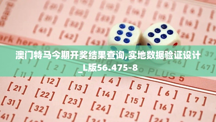 澳门特马今期开奖结果查询,实地数据验证设计_L版56.475-8