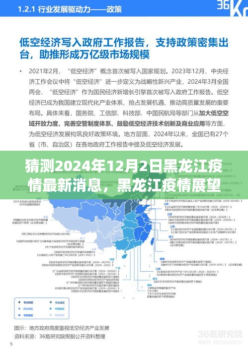 黑龙江疫情展望，深度分析预测与最新消息（预测至2024年12月2日）