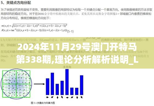 2024年11月29号澳门开特马第338期,理论分析解析说明_LE版39.637-2