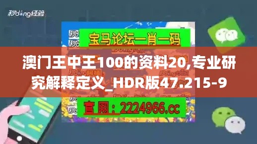 澳门王中王100的资料20,专业研究解释定义_HDR版47.215-9