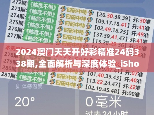 2024澳门天天开好彩精准24码338期,全面解析与深度体验_iShop54.189-4