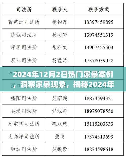 揭秘家暴现象，洞察热门案例背后的故事与思考（2024年家暴案例深度解析）