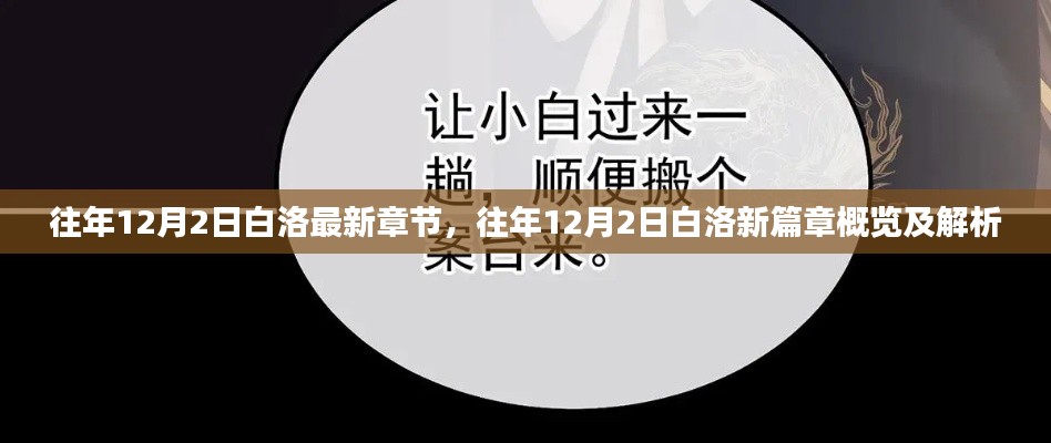 往年12月2日白洛新篇章，概览、解析与最新更新