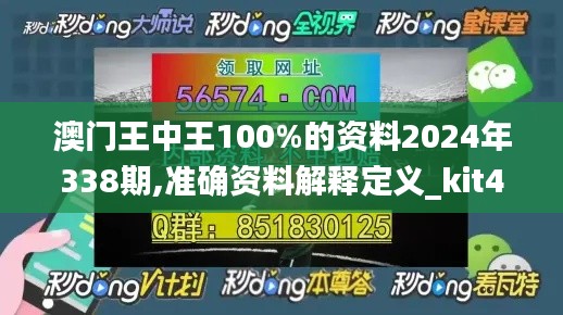 澳门王中王100%的资料2024年338期,准确资料解释定义_kit46.220-4