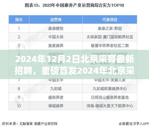 2024年北京采育最新科技岗位招聘启幕，引领职场新潮流，探索前沿科技未来