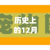 历史上的12月2日郑开碧桂园房价走势回顾与当前市场观点