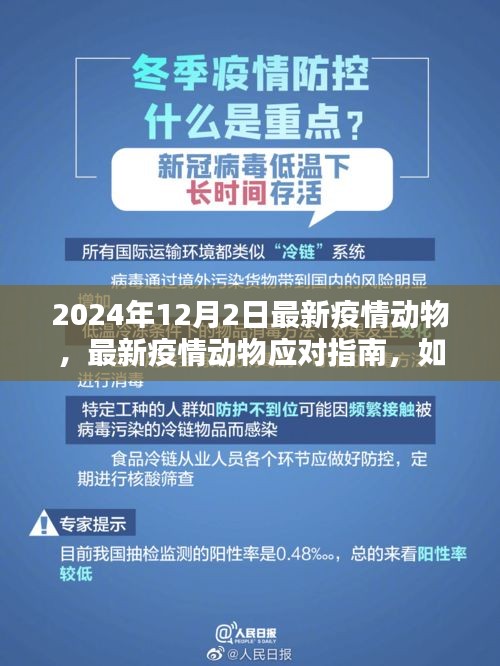 2024年疫情动物应对指南，安全应对初学者与进阶用户必备