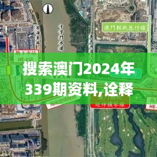 搜索澳门2024年339期资料,诠释说明解析_手游版176.230-5