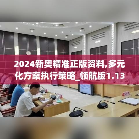 2024新奥精准正版资料,多元化方案执行策略_领航版1.135-9