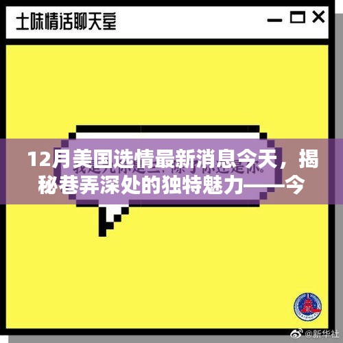 揭秘巷弄深处的独特魅力，今日美国选情下的隐藏瑰宝小店探秘