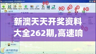 新澳天天开奖资料大全262期,高速响应方案解析_界面版44.629-5