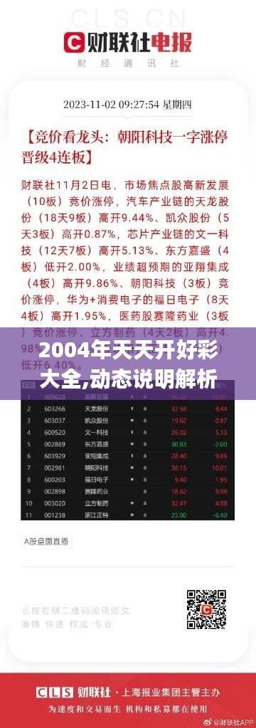 2004年天天开好彩大全,动态说明解析_3K170.520-3