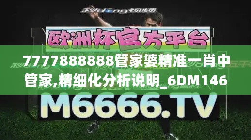 7777888888管家婆精准一肖中管家,精细化分析说明_6DM146.484-6